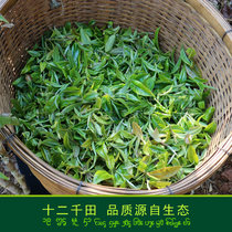 Yunnan Puer tea raw tea Jingmai Mountain ancient tree ancient tea Mountain Qiao Mughao Great Leaf Head Spring New tea raw Pu Scraping Oil Loose Tea