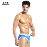 Живые драконные пули с пулемева