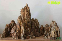 Pine Pisite Green Dragon Stone Wood Fossil Fish Tank Build View Fake Mountain Stone Aquarium Building Large Block Porous Stone Dragon Bone Stone