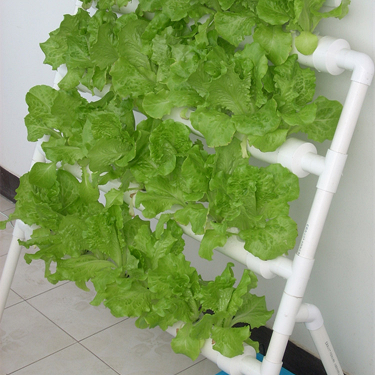 家庭阳台种菜管道式水培无土栽培设备自动浇灌蔬菜花卉种植机包邮-图0