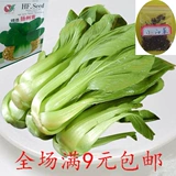 Шанхайские зеленые куриные семена.