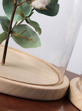 kaheku北欧透明大玻璃罩装饰摆件