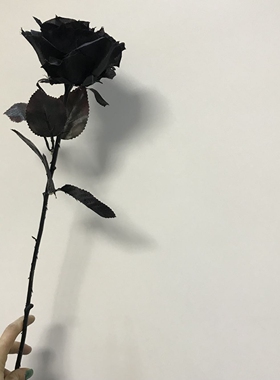 家居装饰仿真花假花黑美人处理