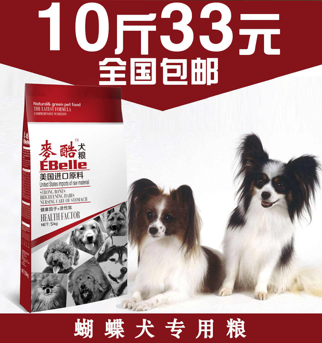蝴蝶狗幼犬 新人首单立减十元 21年7月 淘宝海外