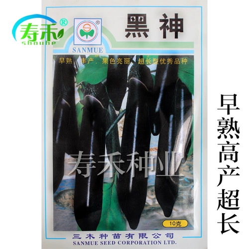 Семена японских черных благородных баклажанов