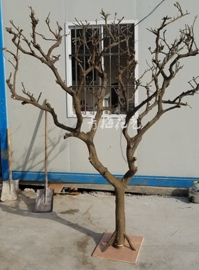 干树枝干枝干树枯树装饰白色树摆件树杆仿真树枝假树枝道具装饰树