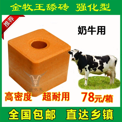 Корова -устремленная лизание соляного кирпичного следа Джинму Кин