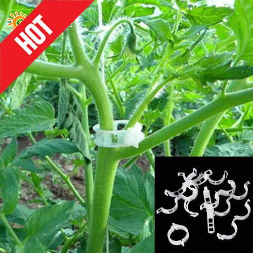 哈密瓜夹西红柿黄瓜绑蔓夹绑枝夹吊蔓扶蔓藤蔓塑料植物固定小夹子 - 图1