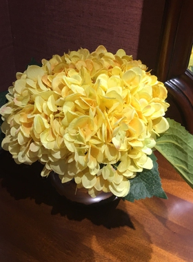 黄色绣球花套装组合卧室玻璃瓶