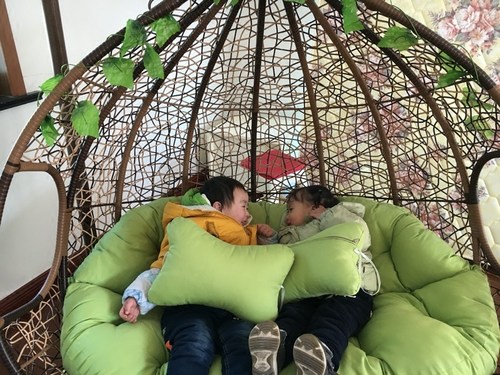 双人吊篮藤椅室内阳台吊椅家用户外秋千摇篮椅子懒人鸟巢吊床摇椅 - 图1