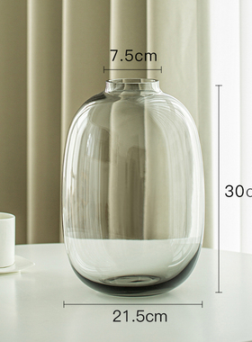 雪柳花瓶摆件客厅水养玻璃透明插花水培轻奢高马醉木感大