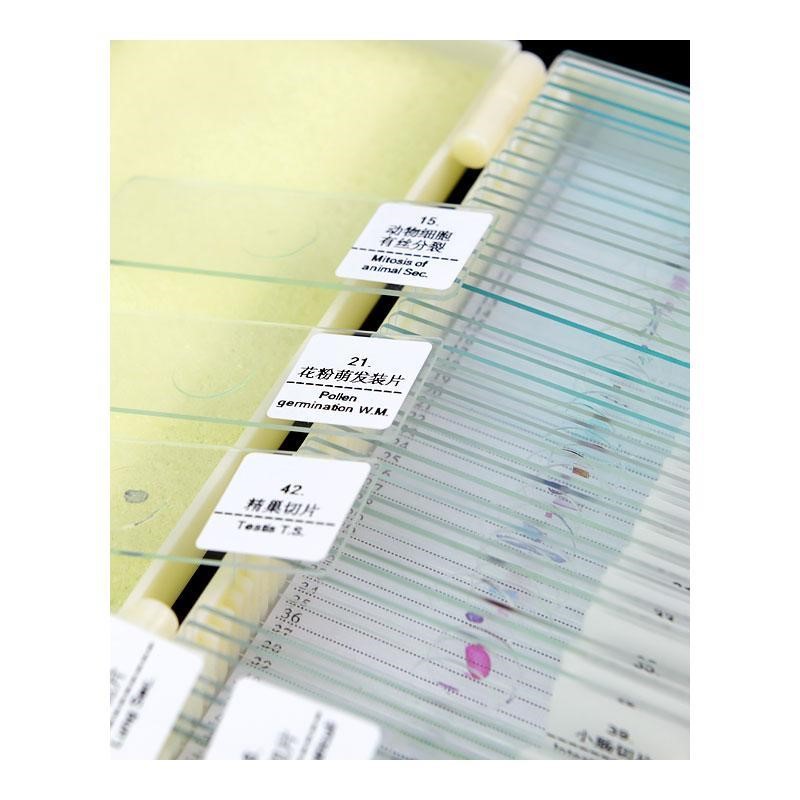 推荐50 PCS Prepared Basic Science Microscope Slides Learning - 图1