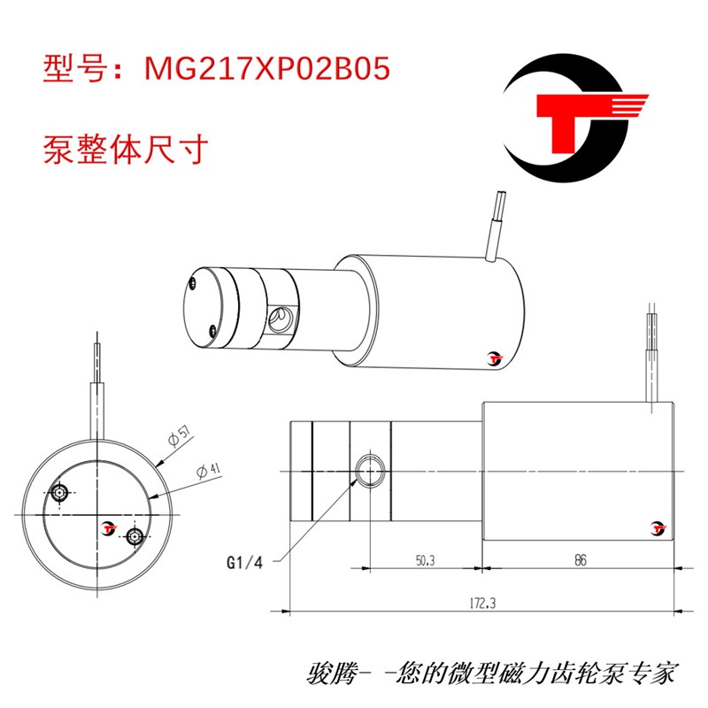 直销新品微型磁力g齿轮泵r计量泵 耐酸硷耐腐不锈钢 无脉冲 耐用