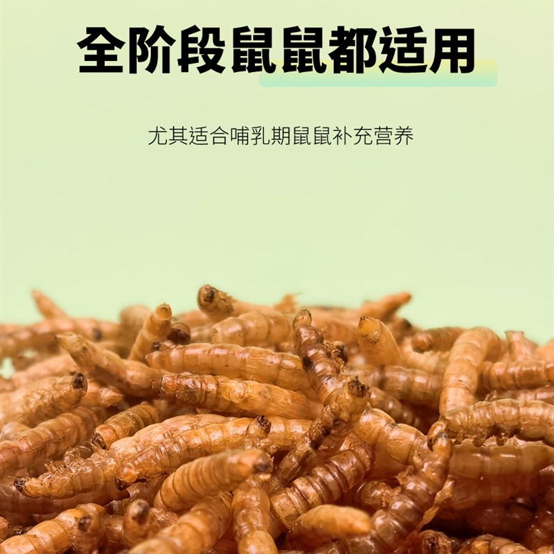 仓鼠粮食饲料刺猬面包虫零黄粉虫龟粮用品小仓P鼠营养主粮干食鸟 - 图1