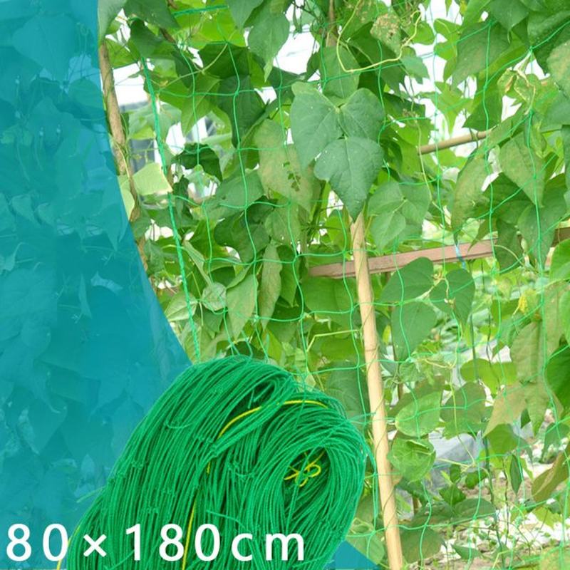 网红80*180cm Garden Plant Trellis Netting Heavy Duty Mesh Vi - 图1