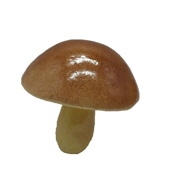 20pMs Aruificial Mtsshroom could Mold 5 Types Mushroom - 图3