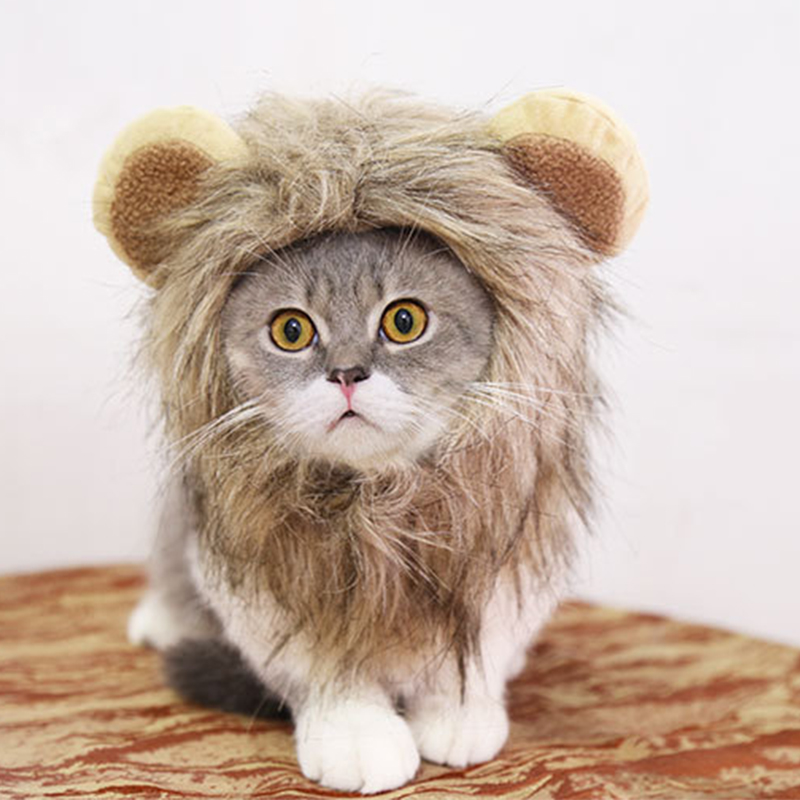 tePLion Maae Cat Wpig  et Small Dog Cnts Costume Lion Ma - 图0