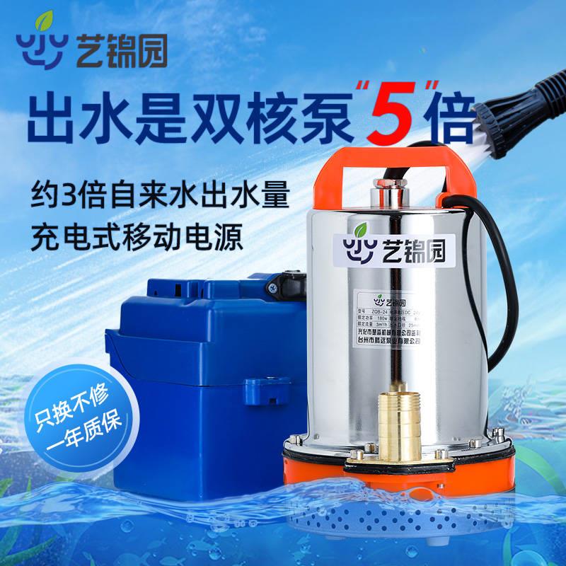 式水泵高压潜流泵12v2v4电动大L水量高扬程农用灌溉抽 - 图2