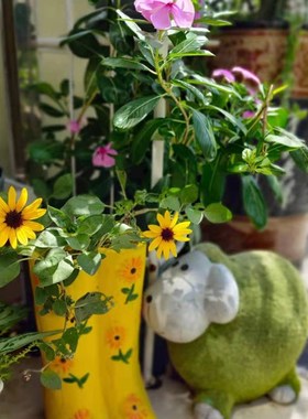 靴子花盆个性花园摆件阳台布景民宿摆设美式乡村雨鞋别墅草坪装饰