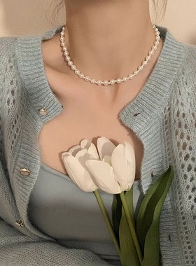 送耳钉正圆母贝珍珠项链大小珠锁骨链女新款礼盒装送女友妈妈礼物