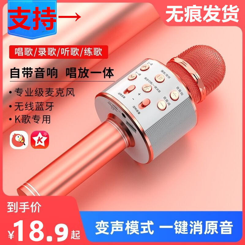 极速.Wireless Karaoke Microphone Bluetooth Handheld Portable - 图0