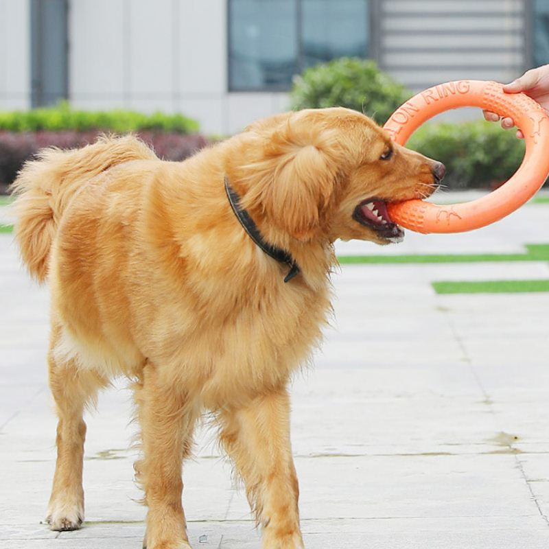 Dog Toys Pet Fklying Dink Trsining Ring Puller Aati-Bite Flo - 图2