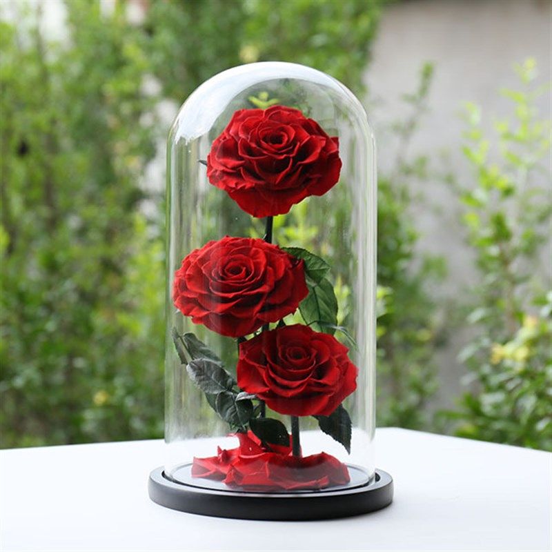 玫瑰永生花玻璃罩礼盒大小王子跨境七夕P情人节送女朋友礼物