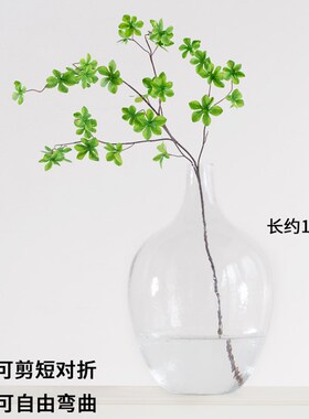 七茉北欧简约大肚玻璃花瓶日本吊钟马醉木插花水培落X地透明大美