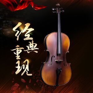 鑫音专业级演奏级大提琴高u档手工全实木天然虎纹初学者成人儿童