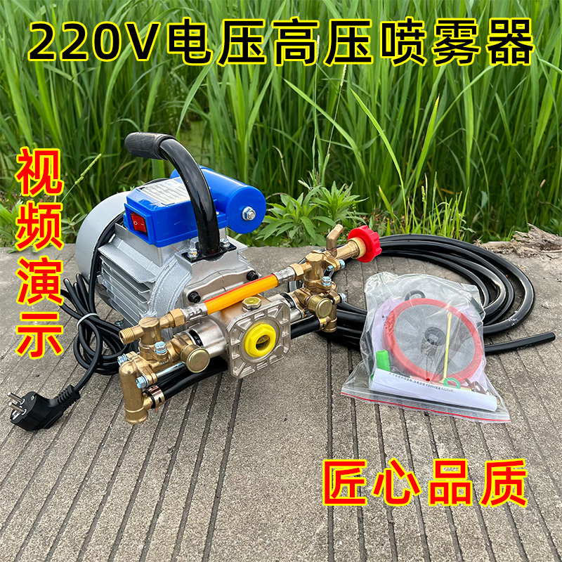 220V农用电动喷雾器打药机雾化果树双缸遥控打药泵水泵果园两相电 - 图2