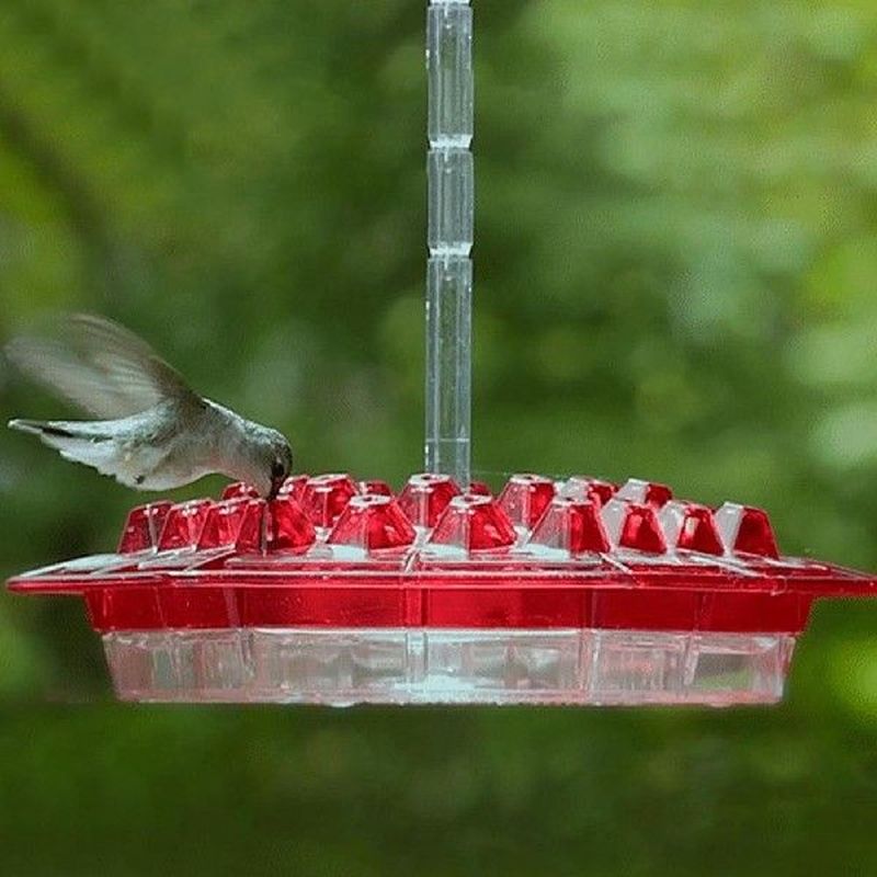 速发Portable Good Pet Feeding Water Container Bird Water - 图1