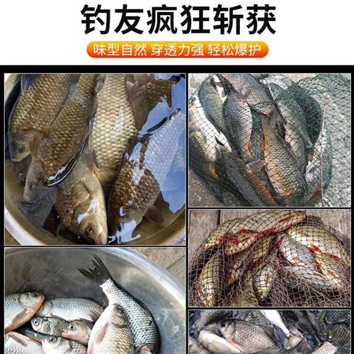 速发余师傅诱窝神米打窝米VB果酸红虫味野钓打鱼饵鲫鱼鱼饵饵料底-图3