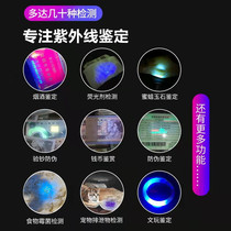 UV Flashlight Fluorescent detection pen Small Purple Light Currency Detector Yellowmold Test Light can be charged