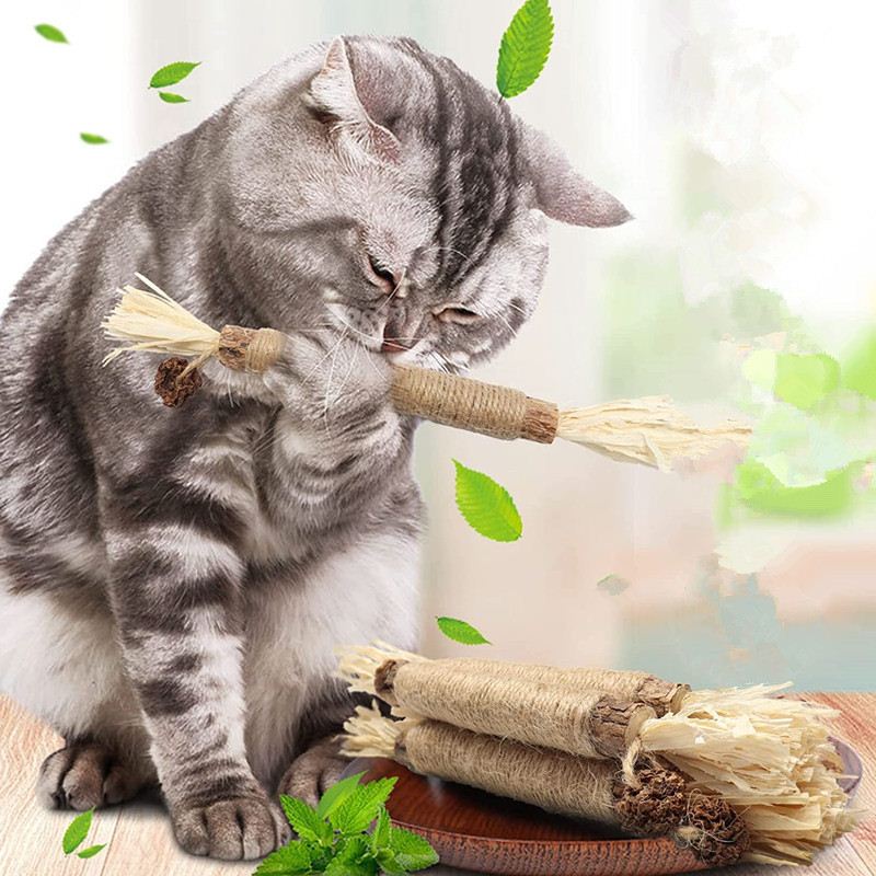 Pet Cat Wooden PolygonumiStick LaEfste Gras  Cat Toy Molar S - 图0