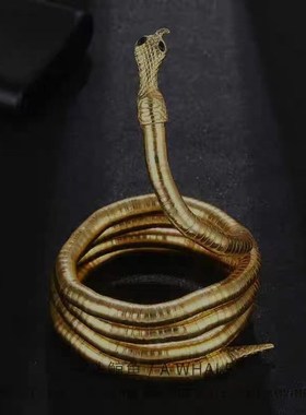 欧美风暗黑潮酷蛇形项链可缠绕小众设计感项圈项链V嘻哈锁骨链配