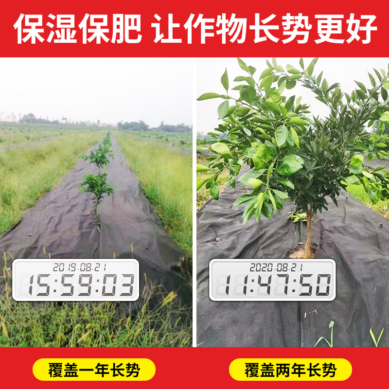 防草布防长草地膜可降解地u布抗老化无纺布园林绿化果园果树除草 - 图2