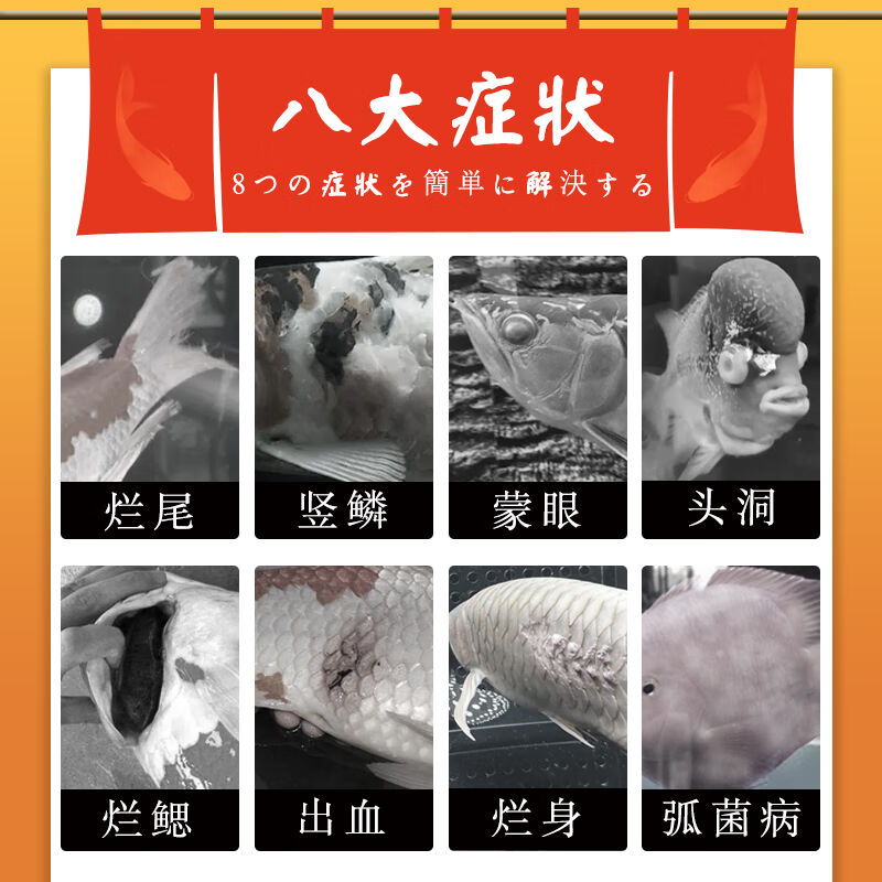 A30KY黄粉鱼药溶剂水族药x剂观赏鱼药热带鱼红龙锦鲤白点病烂尾鱼 - 图3