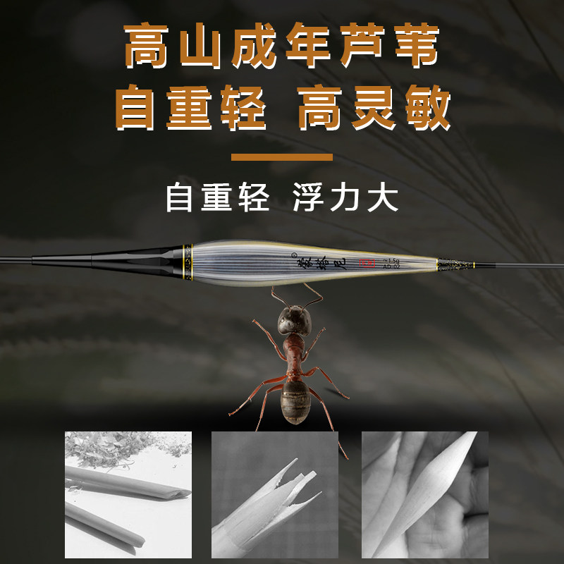 图5