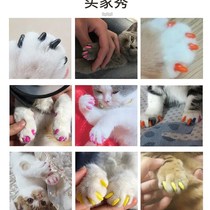 Prevention of cat scratchman dog claw nail anti-scratching man special anti-arrest finger sleeve cat dog claw sleeve anti-catch pet