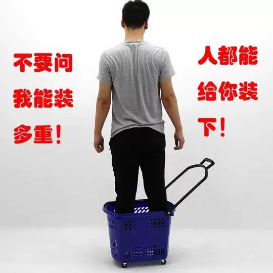 Plastic suitcase, handheld basket, shopping cart