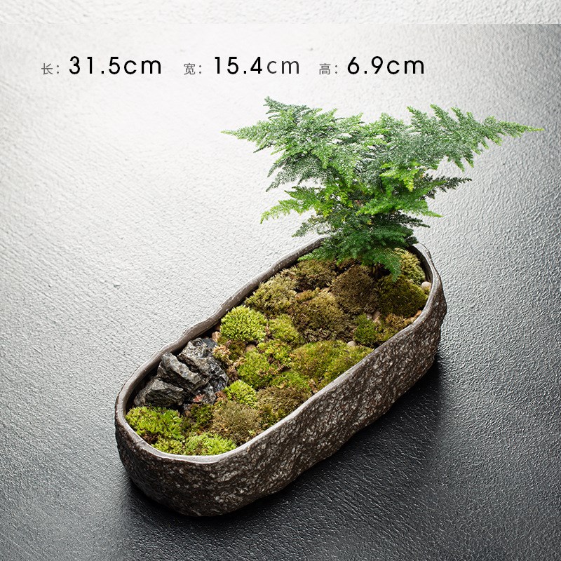 各种花盆创意铜钱草水培多肉植物有无孔装N饰盆栽 多样花盆摆件