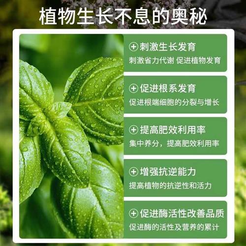 速发硫酸亚铁补铁专用花肥料水溶肥缓释肥栀子杜鹃桂花月季防黄叶-图1