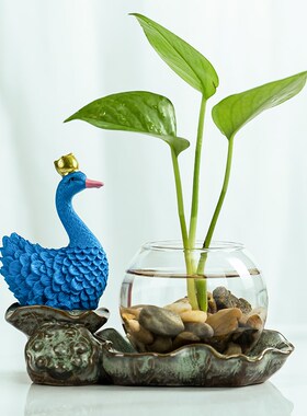 创意绿植水养玻璃花瓶花器陶瓷复购居家饰品桌面卧室客厅装饰摆件