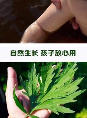 工厂销艾绒泡脚包k陈蕲艾叶足浴粉宝宝女性月子艾草包泡澡50包