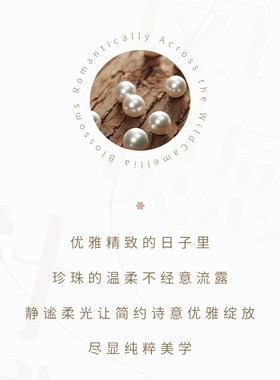 纯银珍珠项链女款2024年新爆款颈链轻奢小众法式生日礼物送女友QC