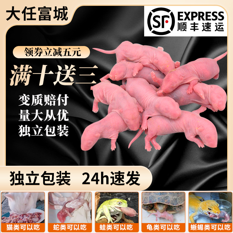 推荐冰冻小白鼠红皮乳鼠冻鼠喂猫喂蛇食物饲料老鼠冻干包邮喂幼猫 - 图0