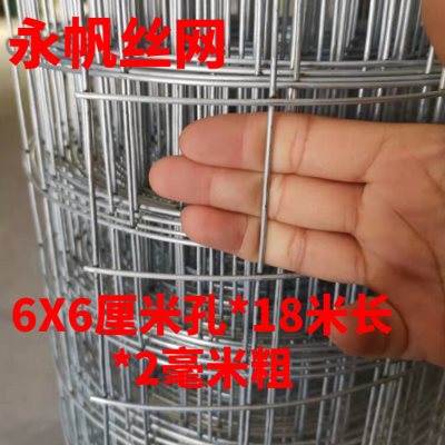 新品圈玉米网铁丝网围栏养殖网装玉米笼钢丝镀锌电焊X网养鸡护栏 - 图1