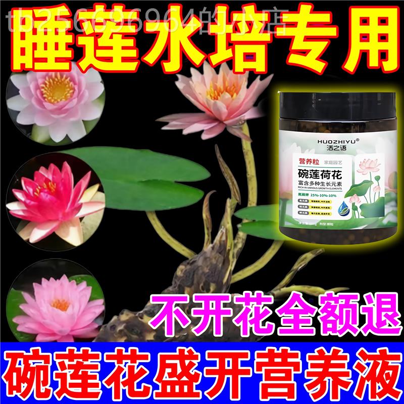 速发碗莲睡莲营养液肥料专用肥生根发芽促开花莲花荷花水培植物水-图0