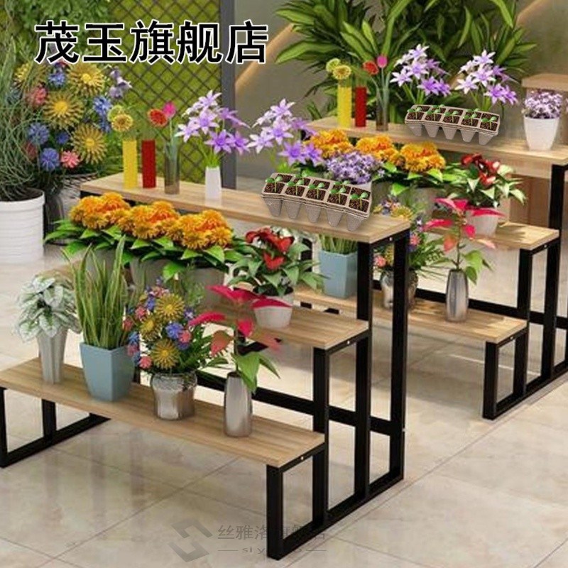 10pcs/set Plant Starter Tray Seedling Germination Home Garde - 图2