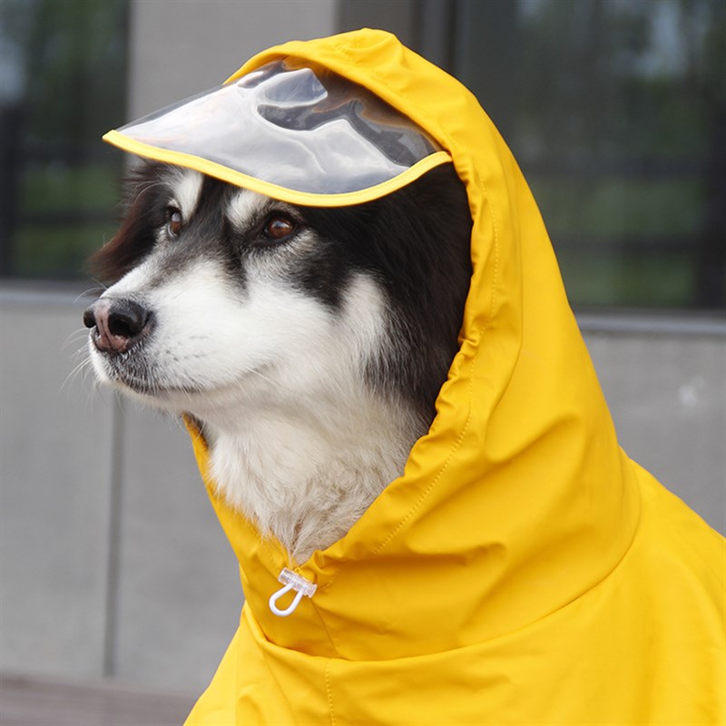 宠物大狗简易雨衣大型犬肚兜阿拉斯加金毛哈士奇秋田边牧萨摩雨披-图1